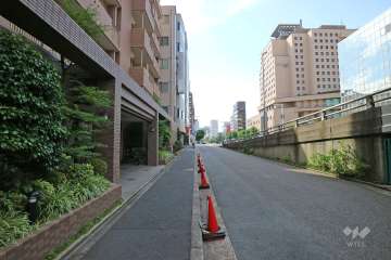 敷地北側の前面道路（東側から）