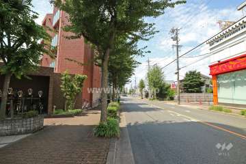 敷地北側の前面道路（東側から）