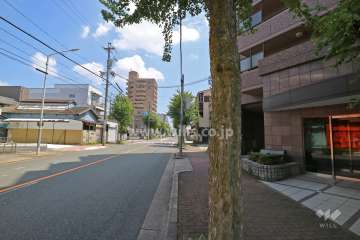 敷地北側の前面道路（西側から）