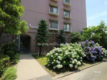 各棟の名称は花の名前になっています。A棟はAnemone。