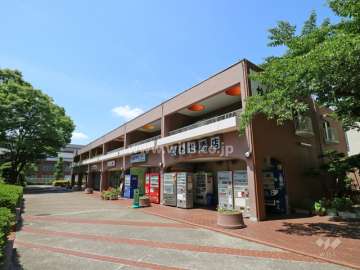 S棟の外観（北東側から）