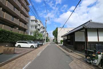 敷地南側の前面道路（西側から）