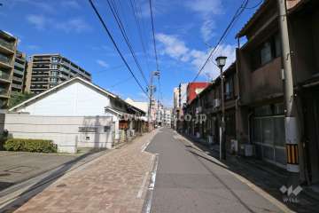 敷地南側の前面道路（西側から）