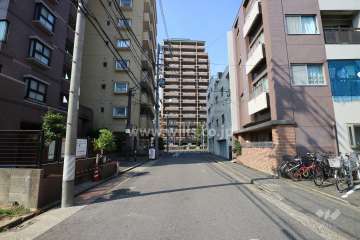 敷地東側の前面道路（南側から）