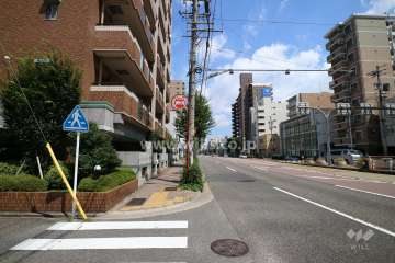 敷地南側の前面道路（西側から）