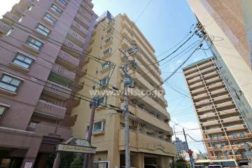 ダイアパレス新出来の外観（南東側から） 