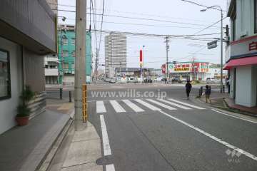 敷地東側の前面道路（南側から）
