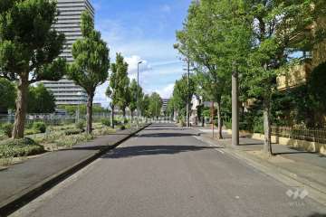 敷地西側の前面道路（南側から）