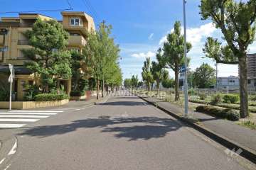 敷地西側の前面道路（北側から）