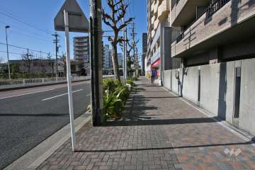 敷地南側は県道215号（出来町通）に面しています。