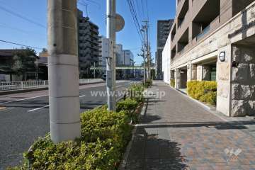 敷地南側の前面道路（東側から）