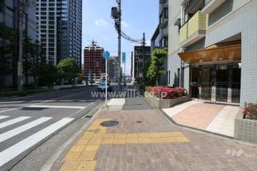 敷地西側の前面道路
