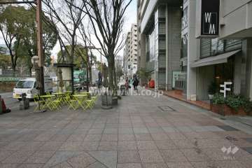 敷地南側の前面道路（南側から）