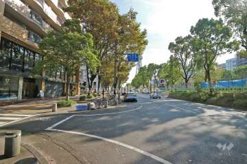 敷地西側の前面道路（北側から）
