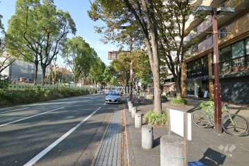 敷地西側の前面道路（南側から）