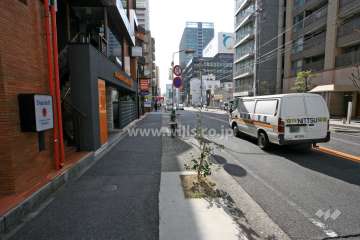 敷地東側の前面道路（北側から）