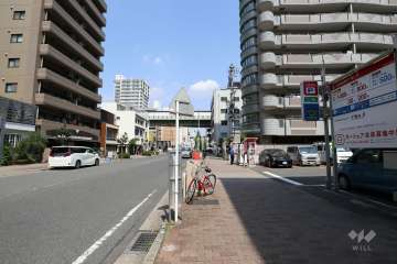敷地北側の前面道路