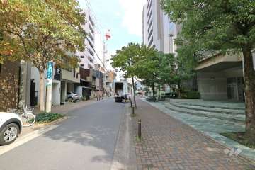 敷地北側の前面道路（西側から）