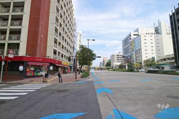 敷地南側の前面道路（西側から）