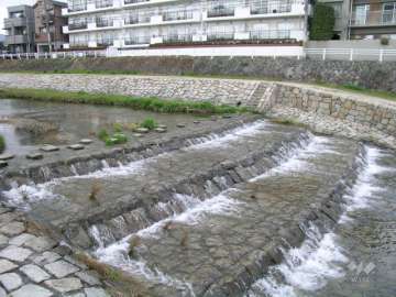 仁川の堰堤には川を渡る飛び石もあります。