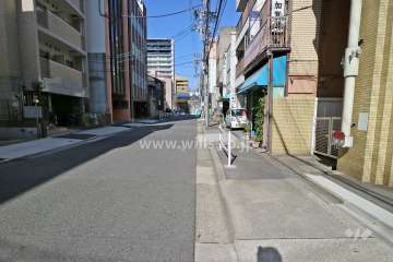 敷地の西側前面道路（南側から）