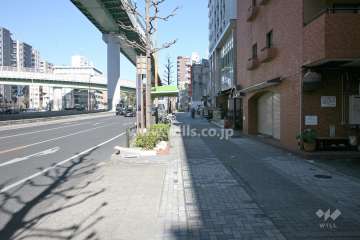 敷地西側の前面道路（南側から）