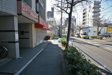 敷地西側の前面道路(北側から)