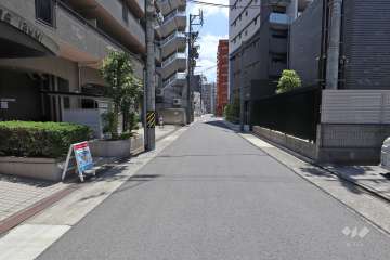敷地西側の前面道路（北側から）