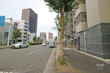 敷地北側の前面道路（西側から）