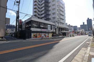 敷地西側の前面道路（北側から）