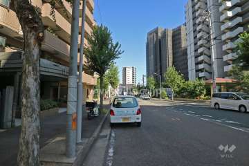 敷地南側の前面道路（西側から）