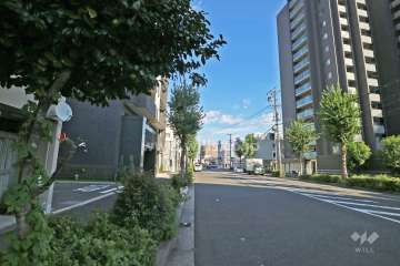 敷地南側の前面道路（西側から）