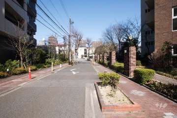 敷地西側の前面道路（南側から）