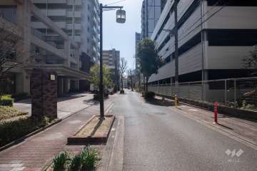 敷地西側の前面道路（北側から）