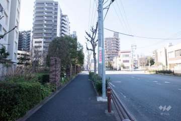 敷地北側の前面道路（東側から）