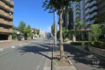 敷地北側の前面道路（西側から）
