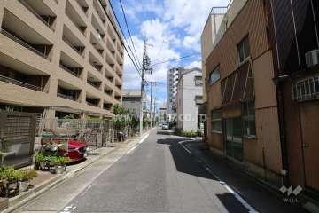 敷地南側の前面道路（西側から）