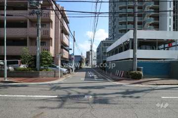 敷地の西側前面道路（北側から）