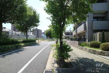 敷地東側の前面道路（北側から）