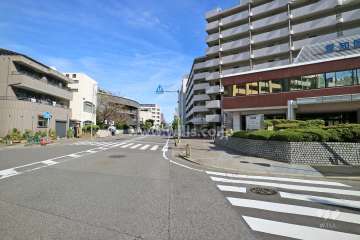敷地北側の前面道路（西側から）