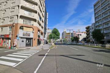 敷地北側の前面道路（西側から）