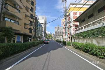 敷地北東側の前面道路（南東側から）