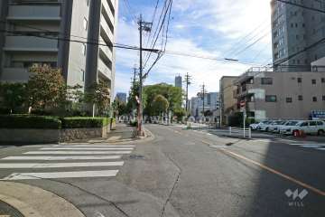 敷地西側の前面道路（北側から）