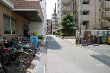 敷地西側の前面道路（北側から）