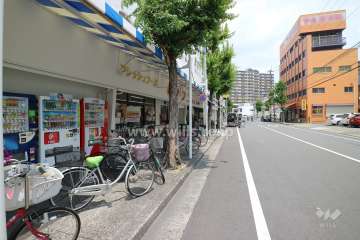 敷地東側の前面道路（南側から）