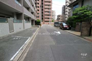 敷地南側の前面道路（西側から）
