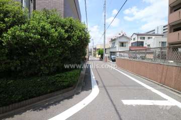 敷地東側の前面道路（南側から）