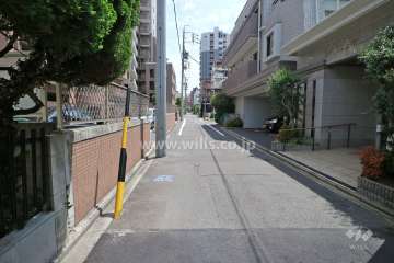 敷地西側の前面道路（北側から）
