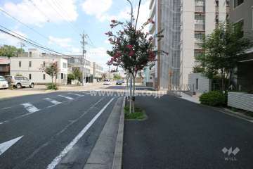 敷地北側の前面道路（西側から）