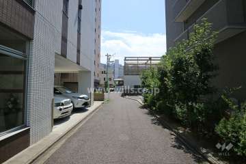 敷地東側の前面道路（北側から）